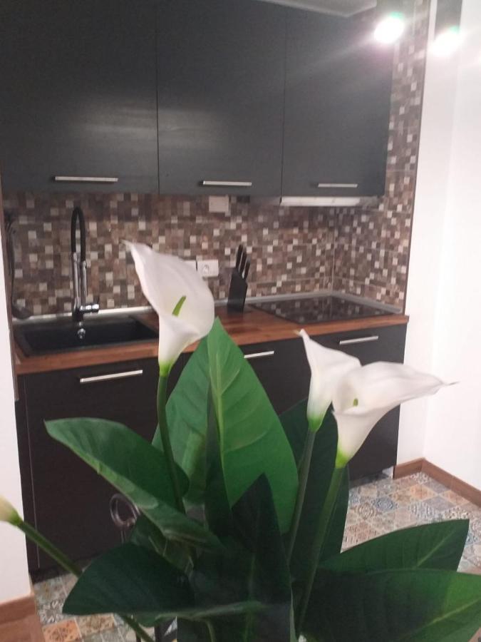 Ferienwohnung Loft 113 Corralejo Exterior foto